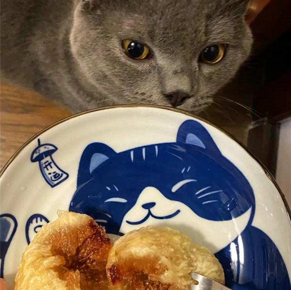 萬萬沒想到，我竟然被一套陶瓷餐具萌化了