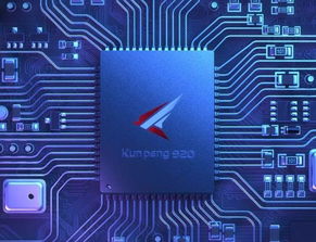 華為再出新系統:尤拉!任正非:定位國家數字基礎設施的作業系統 華為再出新系統:尤拉!任正非:定位國家數字基礎設施的作業系統