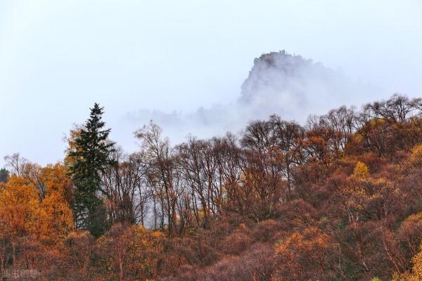 這樣的秋天你見過嗎？