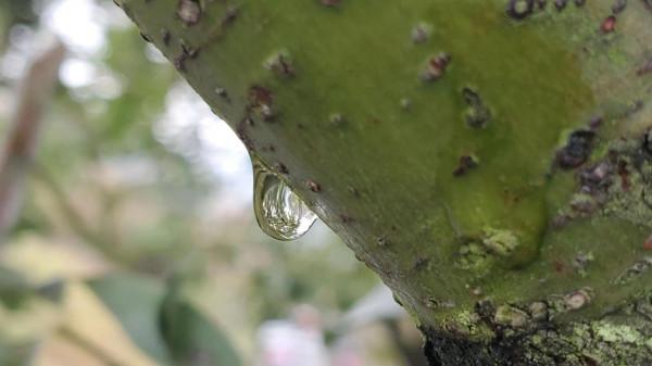 2021年三星note10+當主力機怎麼樣 2021年三星note10+當主力機怎麼樣