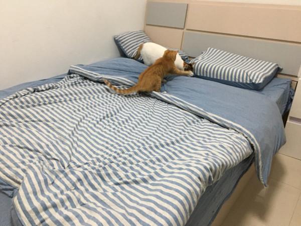 這10個家居物件,不一定好看但非常實用,解決了許多家庭的痛點 這10個家居物件,不一定好看但非常實用,解決了許多家庭的痛點