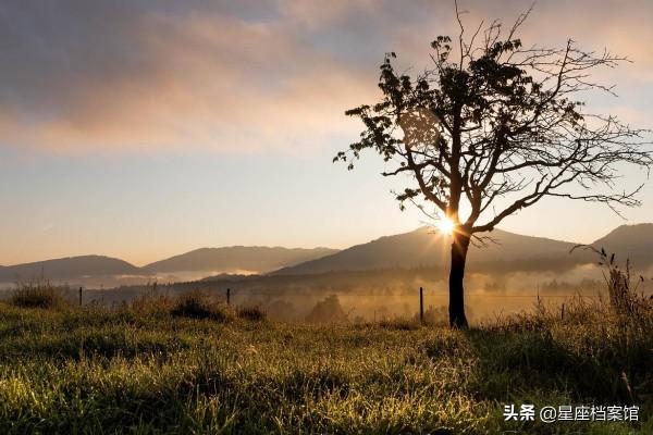 上升雙子座,閱盡人間冷暖,看遍世故仍心懷童心,永遠18歲 上升雙子座,閱盡人間冷暖,看遍世故仍心懷童心,永遠18歲