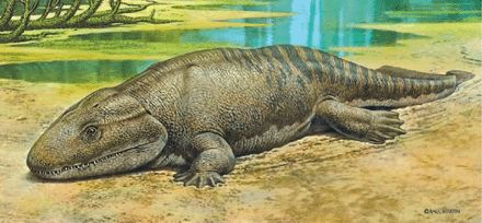 脊椎動物崛起，目標征服陸地——泥盆紀