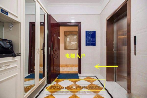 一梯一戶大平層，獨享電梯口的公攤面積，每家都能在這裝鞋櫃嗎？