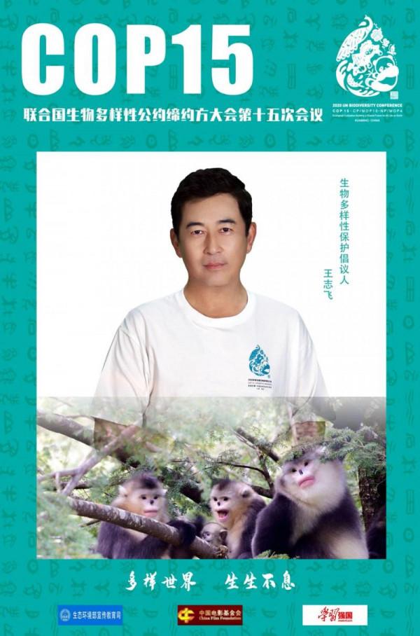 張凱麗、王志飛、黃曉明、秦俊傑、毛曉彤為珍稀動物“代言”