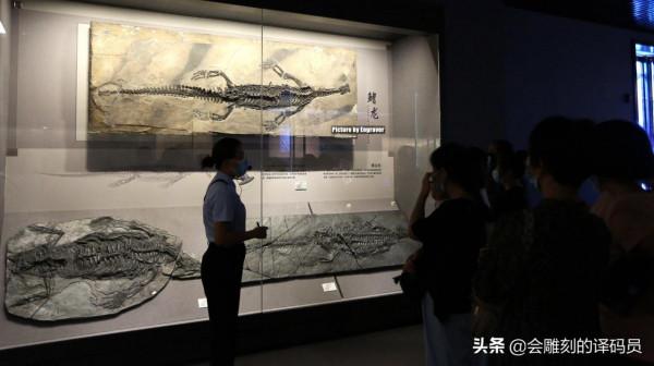 你吃過魚,但你見過“魚龍”嗎?就在我國貴州曾經就是魚龍的天堂 你吃過魚,但你見過“魚龍”嗎?就在我國貴州曾經就是魚龍的天堂