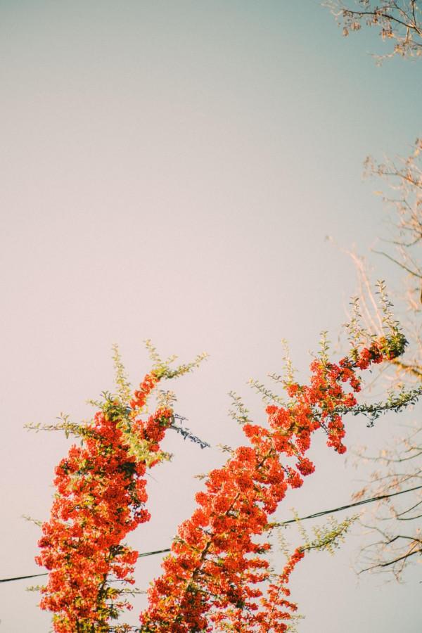 《牧和的詩》&mdash;&mdash;衝突