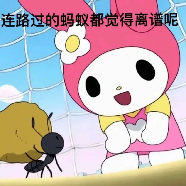 由於華測不接受我的送檢,今天聊養貓狗如何花小錢省事省大錢 由於華測不接受我的送檢,今天聊養貓狗如何花小錢省事省大錢