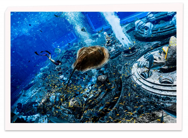 16小時不間斷 | 亞特歡樂中國年