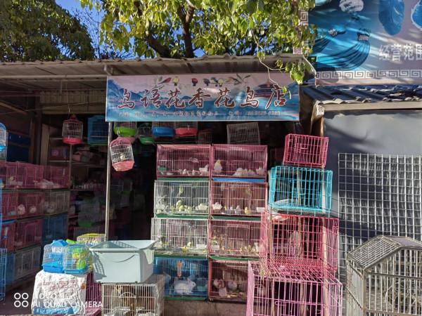 麗江古城昭慶市場