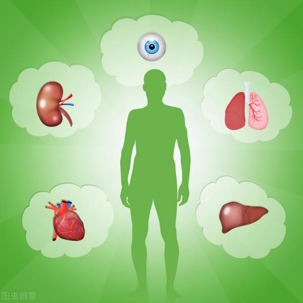 身體器官分別對應什麼食物,收藏起來,過節的時候用 身體器官分別對應什麼食物,收藏起來,過節的時候用