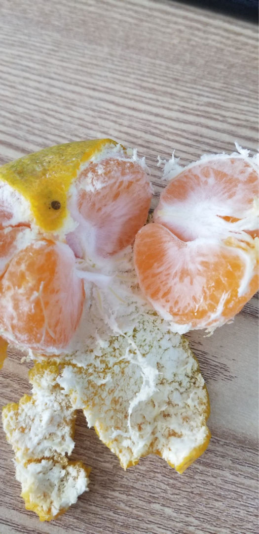 秋天吃個”紅瑪瑙“果，果子晶瑩剔透像水晶，咬一口滿嘴爆汁