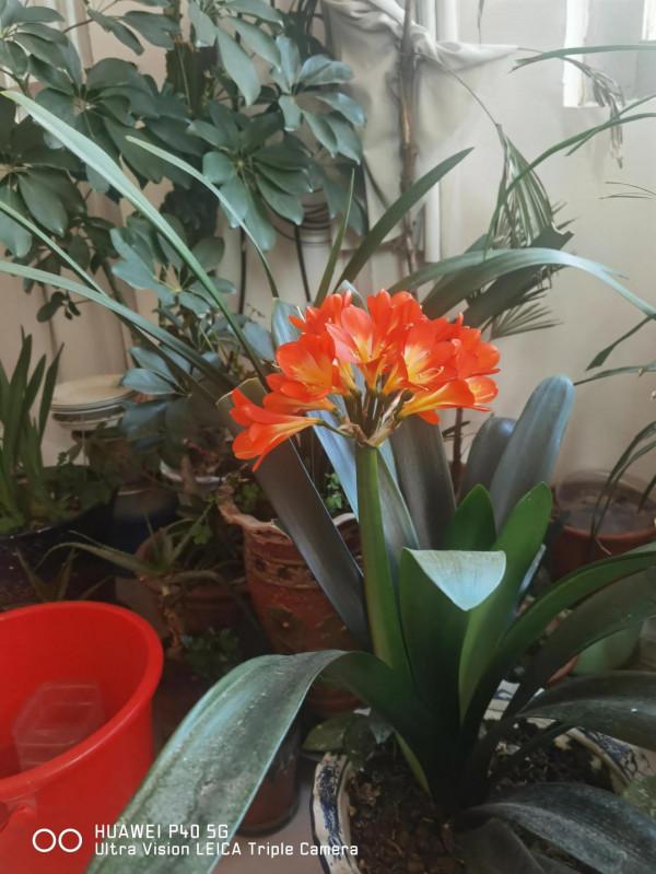 這個孝順兒子的背後,有一個賢惠的好媳婦,她是上天派來的天使 這個孝順兒子的背後,有一個賢惠的好媳婦,她是上天派來的天使