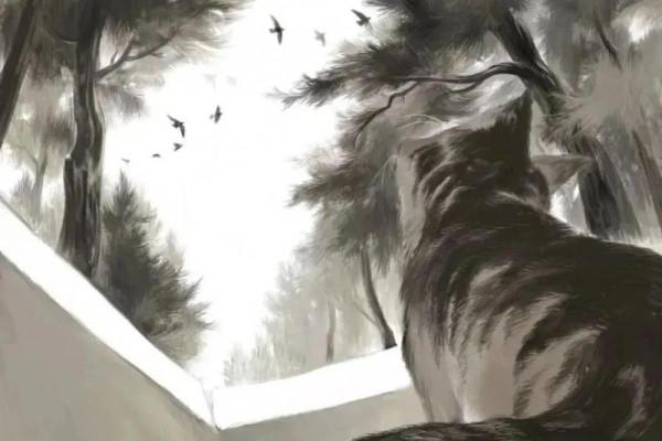 村上春樹《棄貓》|奶貓 村上春樹《棄貓》|奶貓