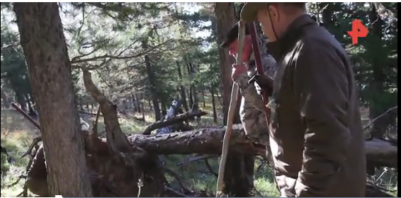 找熊窩,釣魚、住帳篷普京又去西伯利亞了 找熊窩,釣魚、住帳篷普京又去西伯利亞了