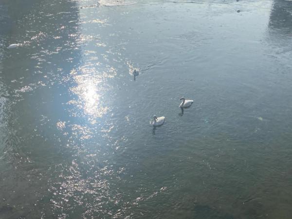 人與自然友好相處