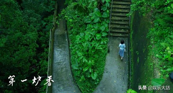 這5年演技翻車的7位“戲骨”，各有各的浮誇，沒有一人能甩鍋編劇