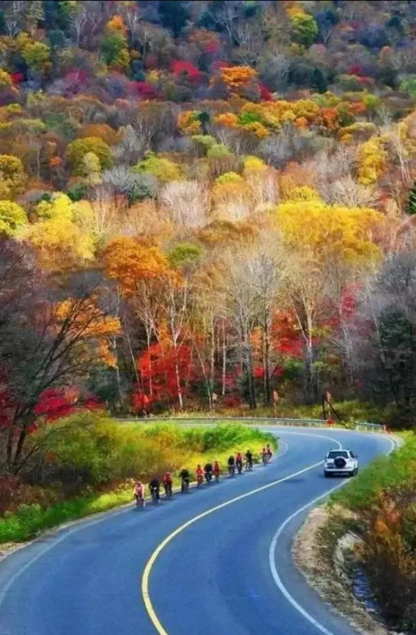 最美的五彩楓葉 最美的五彩楓葉