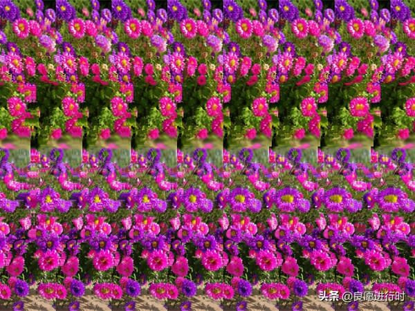 中秋快樂的三種表示形式