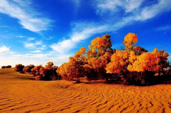 醉美中國，在秋天