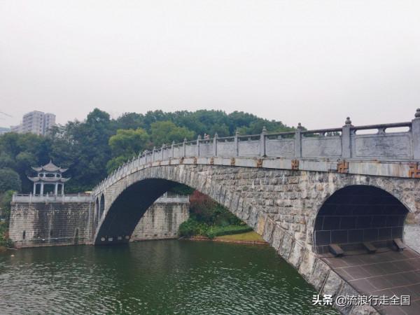 只是逛個公園，沒想卻有這麼多景點，看到臘梅確實讓人格外驚喜