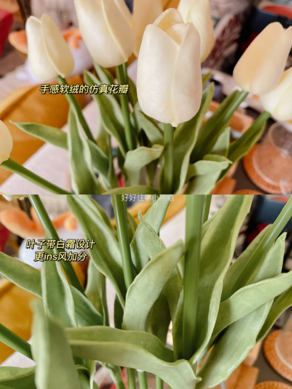 20元以下的家居好物，這6件閉眼入