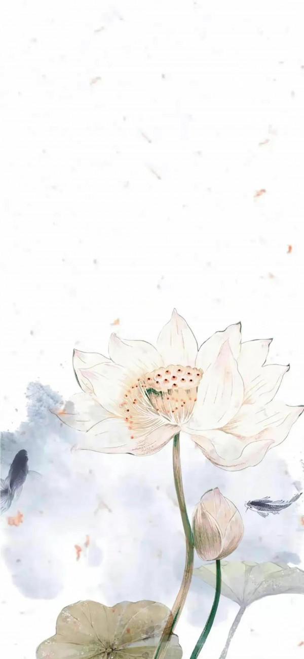 古風漫畫桌布‖歲月