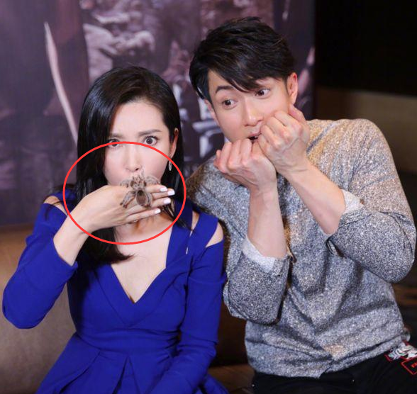 動物世界：從狗生贏家王可可開始，扒一扒各路明星斥巨資養的寵物