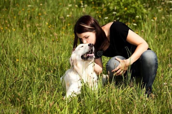寵物犬發現安全隱患英勇獻身 物業公司理應賠償 數額可以熱議 寵物犬發現安全隱患英勇獻身 物業公司理應賠償 數額可以熱議