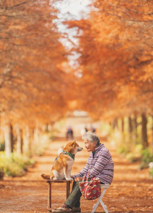 你有多久沒有回家看看了