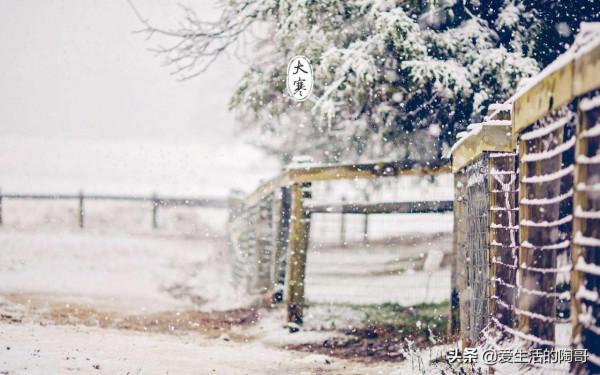 大寒到，老話說：大寒吃5寶，丟掉老棉襖，驅寒養生，健康過新年