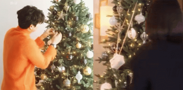 全網勸官宣，他們還能瞞多久？