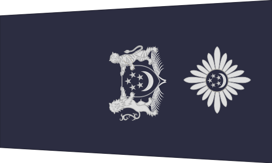 新加坡警銜標識