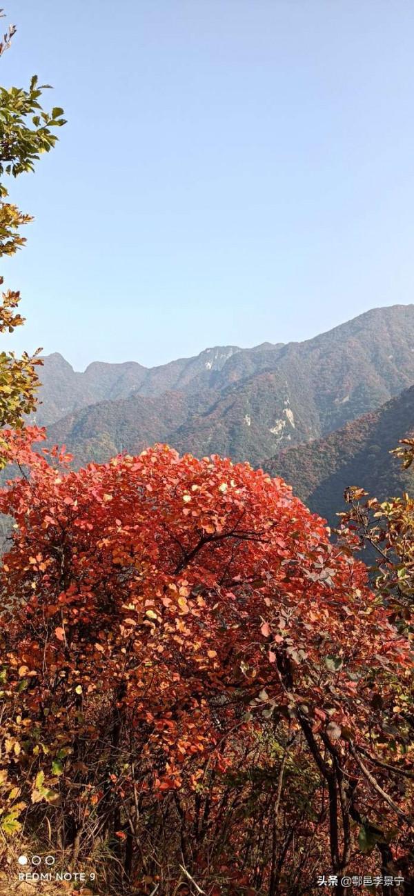 題陝西省西安市鄠邑區風景名勝圭峰山楹聯 文圖/李景寧 寒陽子