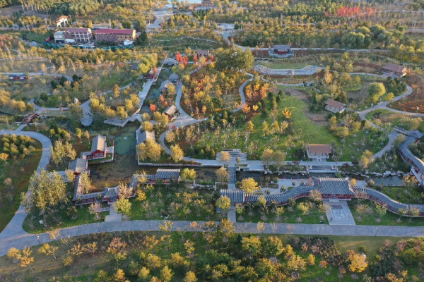 秋染副中心① | 漫步賞秋，張家灣公園內，秋色也能勝春朝！