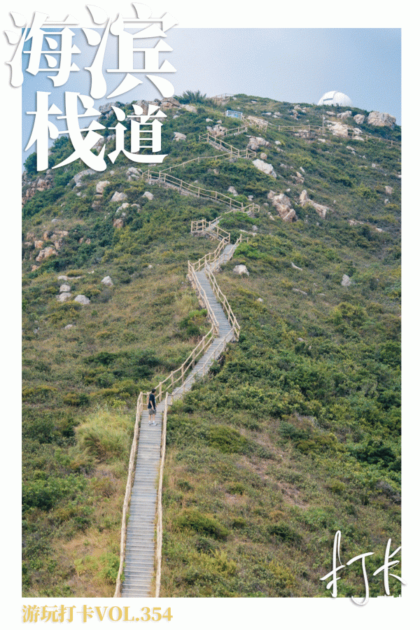 在深圳,必打卡的6個海濱棧道 在深圳,必打卡的6個海濱棧道