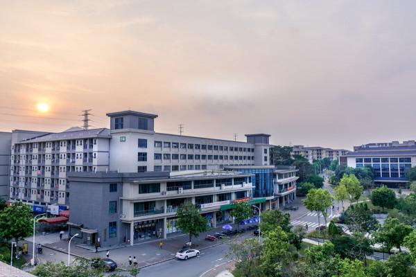 這四個專業，大學學習期間需要用到電腦，家長給孩子買電腦別心疼