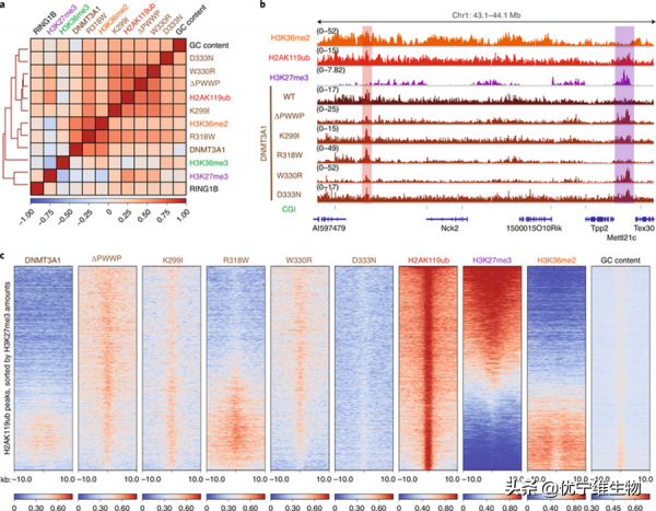 Alpha技術助力甲基化研究