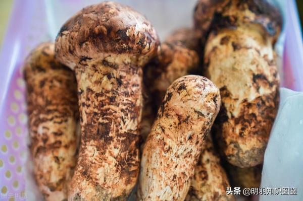 雲南的30個冷知識,你確定都知道嗎? 雲南的30個冷知識,你確定都知道嗎?