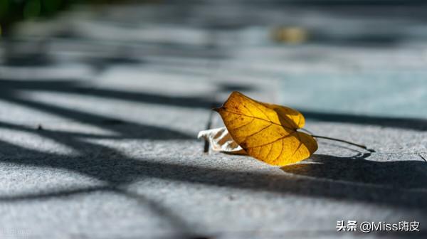 放不下的仇恨 放不下的仇恨