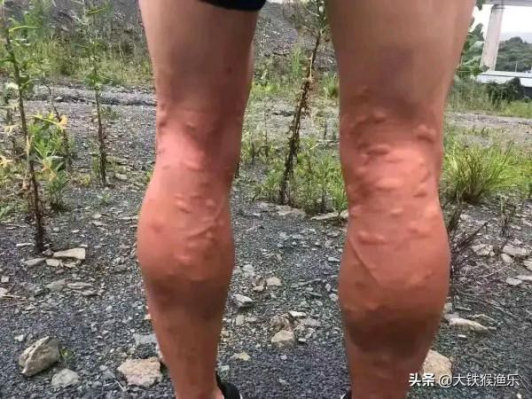 遼寧釣友為了釣到40斤大鯉魚“歷盡艱辛”，回家後卻被全家人嫌棄