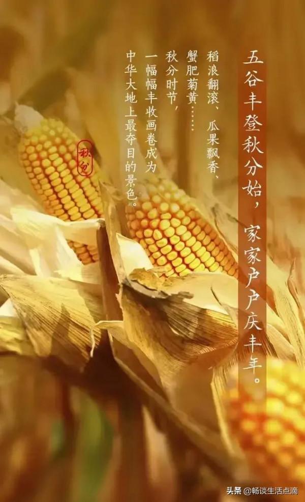 天氣預報：今天秋分大晴天，預兆好不好？看看老祖宗留下的農諺