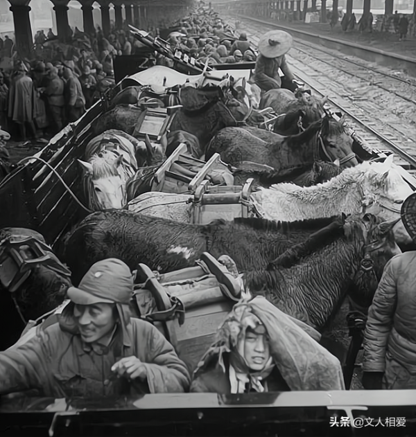 國軍中將訓下屬引發滅門慘案，嚴厲處理後辭官，後來起義成副省級