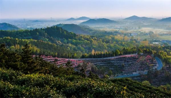 毛主席特殊的喝茶習慣：愛喝隔夜濃茶，喝完茶把茶渣吃掉