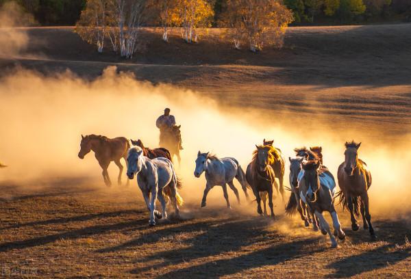這三種美味，讓你愛上草原
