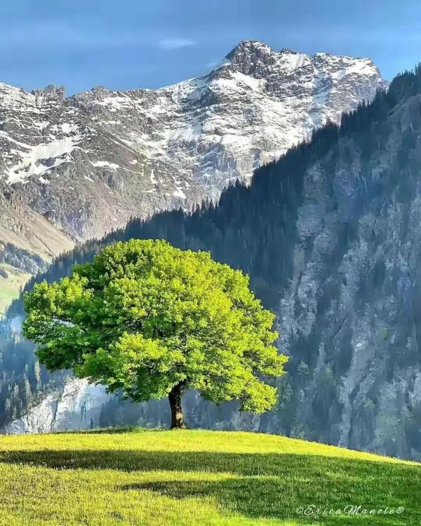 站樁100問││(體悟篇）為什麼站樁需要過五關(2）？