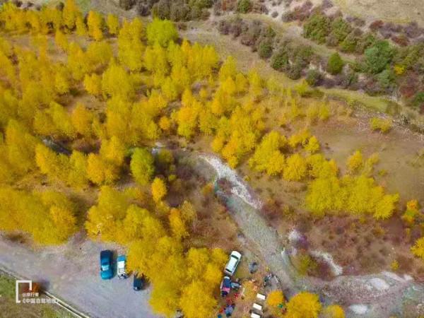 10月最火的金秋旅行集散地！英雄會再出發，奉上10條優選自駕線