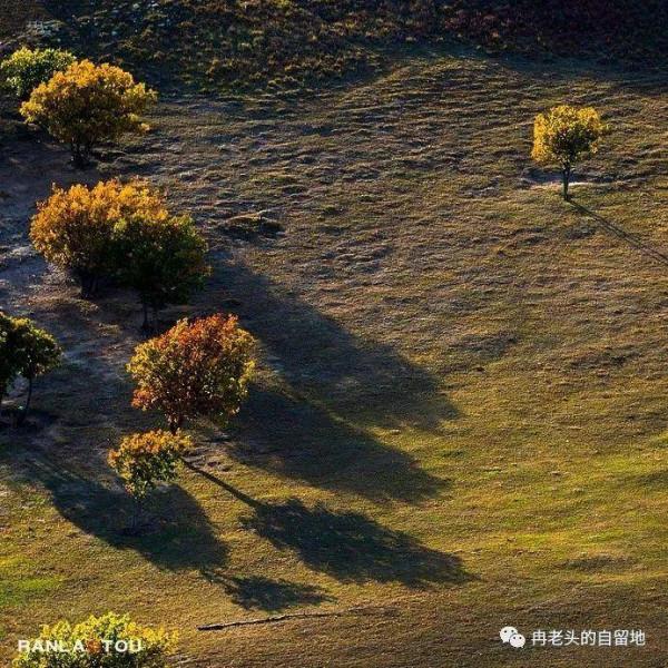 「青未了」冉令傑|南井,那一抹血紅的曙色 「青未了」冉令傑|南井,那一抹血紅的曙色