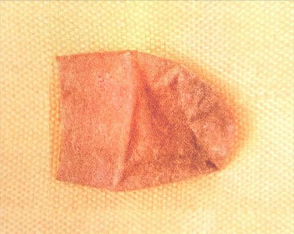 「楚國絲綢傳奇·前傳2」考古發現：一枚全世界最古老的蠶繭