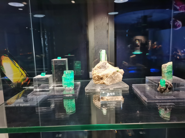 中國地質博物館展品